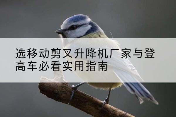 云南电动升降机厂家-选移动剪叉升降机厂家与登高车必看实用指南