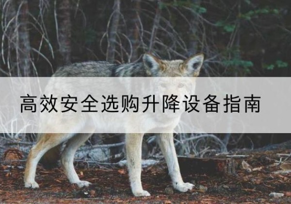 云南升降货梯厂家推荐-*安全选购升降设备指南